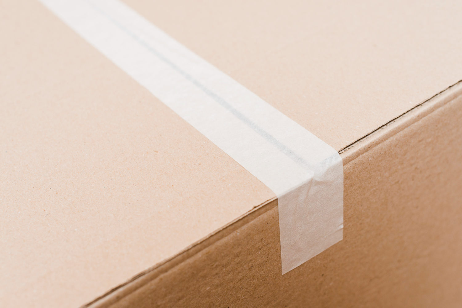 carton sealer